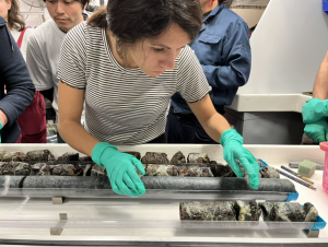 Woman in green rubber gloves examines rock specimens on a table