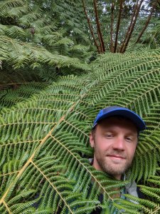 Man in a blue baseball cap pokes his head through the frond of a large tree fern to smile at the camera
