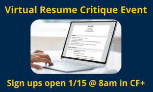 Virtual resume critiques