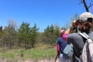 Person standing outside looks through binoculars toward a forest