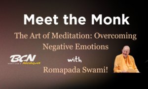 Image Imported from Maize Pages