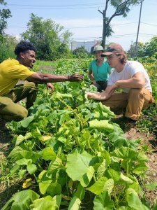 Urban Ag Interns Farming at Oakland Ave Urban Farm Detroit