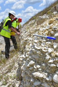 Blue Sharpie pointing to a shell with two people in high-visibility vests and hard hats standing in the background