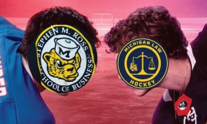 Image Imported from Maize Pages