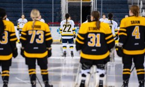 Image Imported from Maize Pages