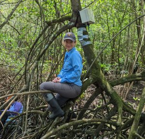 A woman in a blue jacket and a Texas longhorn baseball cap sits on a tree root in the forest