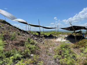 A line of tarp tents covering an archaeological worksite that spans both hilly and flat terrain