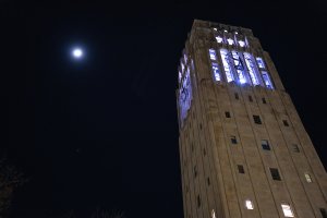 Meghan Wysocki, carillon