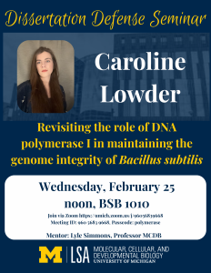 Caroline Lowder poster