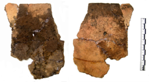 Two ceramic sherds possibly showing food residues
