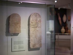 View into an exhibit case at the Kelsey Museum showing two Egyptian stone stelae with animals carved into their surfaces, including an ox and a ram.