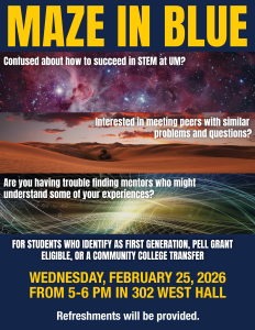 Maze In Blue Informational Flyer