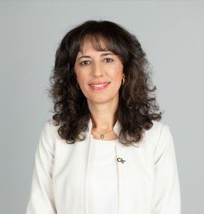 Pinar Keskinocak's indoor headshot
