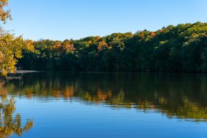 Early autumn morning along the banks of the Huron River.