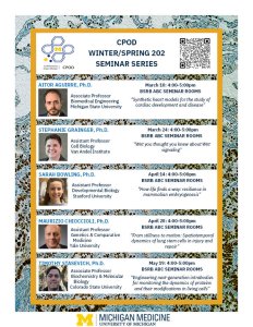 Maurizio Chioccioli PhD