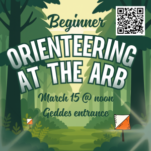 A flyer shows a forest.  Orange and white orienteering flags are posted.