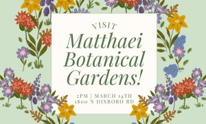 Image Imported from Maize Pages