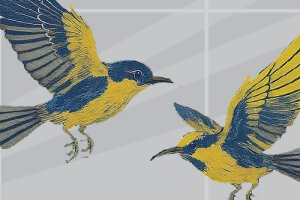Illustration of two birds flying in front of a window pane.