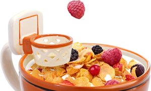 Image Imported from Maize Pages