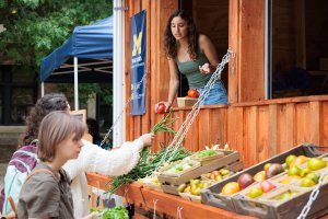 A farm stand employee restocks tomatoes out of a trailer window while two customers shop for beans and tomatoes.