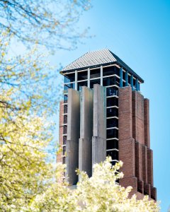 Meghan Wysocki, carillon