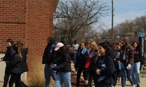 Image Imported from Maize Pages