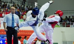 Image Imported from Maize Pages