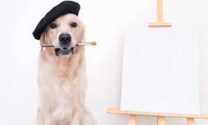 Image Imported from Maize Pages