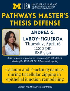 poster with image of Andrea