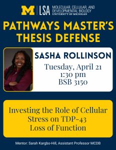 poster with image of Sasha