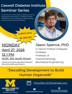 flyer for the Caswell Diabetes Institute Seminar Series (University of Michigan). Features a circular headshot of the speaker on the right and text announcing a Monday, April 27, 2026 seminar from 12–1 PM in NCRC, B10, South Atrium (Zoom registration link included). Speaker: Jason Spence, PhD, H. Marvin Pollard Collegiate Professor; Professor of Gastroenterology and Biomedical Engineering. Yellow starburst reads “Lunch will be served.” Talk title: “Decoding Development to Build Human Organoids.” CDI logo and contact links appear at the bottom.