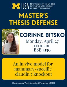 seminar poster with image of Corinne