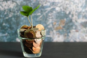 Flower pot filled with U.S. pennies with plant growing out of top