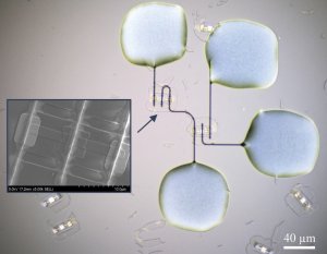 Submicron-resolution e-jet printing