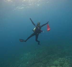 A diver in a wetsuit holding a red mesh bag is spread eagle underwater