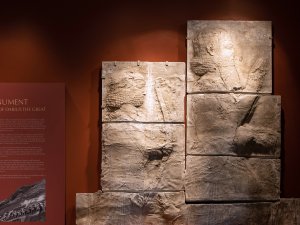 Plaster squeeze of the Bisitun Monument, a relief featuring a procession of Darius I and other figures, on display against a red wall at the Kelsey Museum.