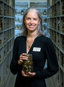 Dr. Alison Davis Rabosky, University of Michigan