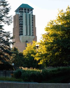 North Campus trees with Lurie Tower rising above in the distance.