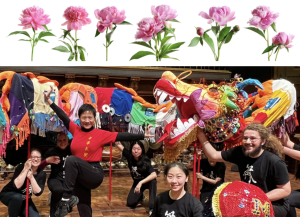 Dragon dancers for the peony gardens