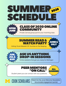 Bubble flyer in blues & greens outlines four key summer event areas: Online Community, Summer Read, Drop-In Sessions & Peer Mentoring.