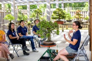 Carmen teaching bonsai to 3-5 people