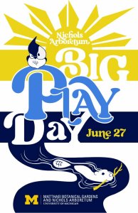 Big Play Day Poster