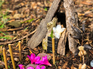 A Fairy House Building