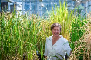 Pamela Ronald standing in front of rice plants