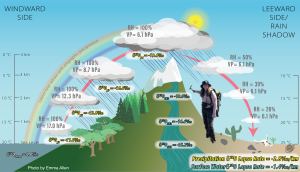 Scientific diagram with a superimposed photograph of Tara Lonsdorf wearing black pants, a pink shirt, and bucket hat.