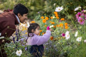 A child with her parents looking at flowers