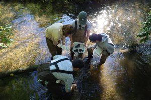 4 people in the water looking for samples