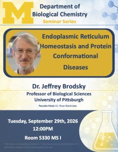 Brodsky Seminar
