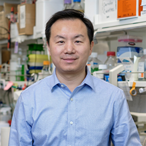 Feng Yue, PhD