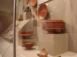 View of a Kelsey Museum case displaying several examples of terra sigillata, an orange-red pottery type from the Roman Empire.